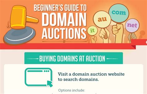 domain auction.